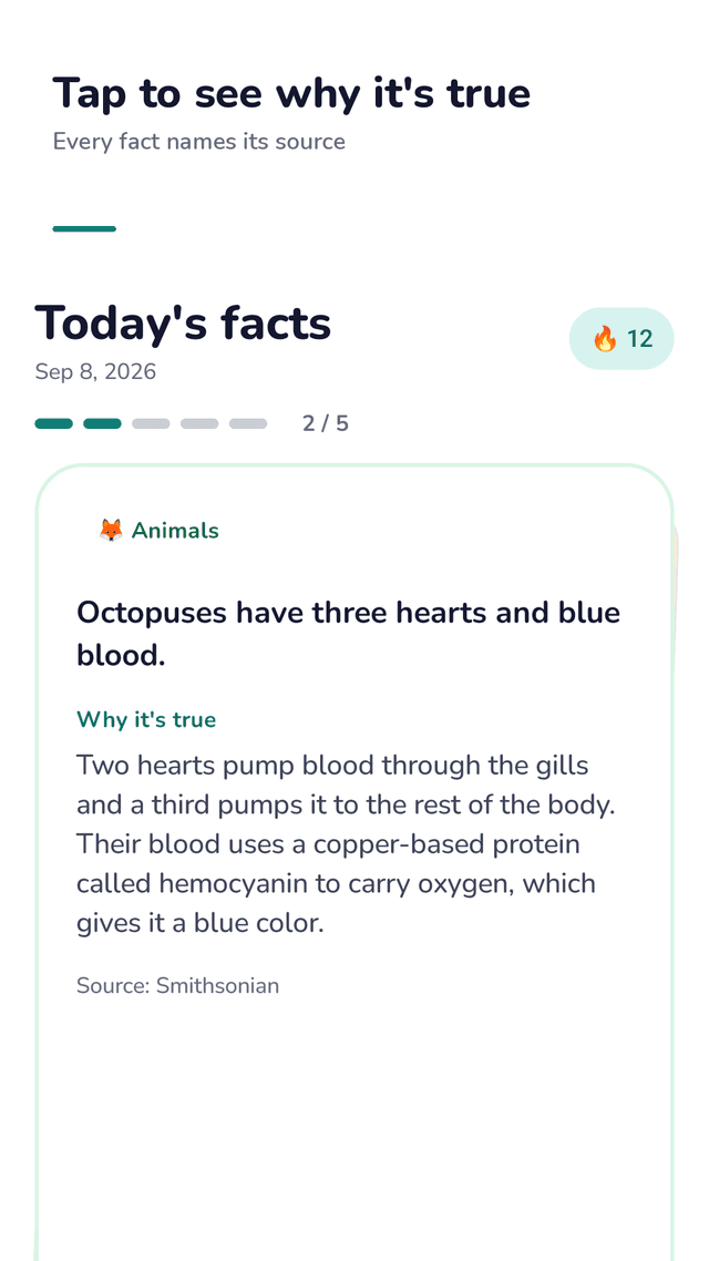 Curiodex screenshot
