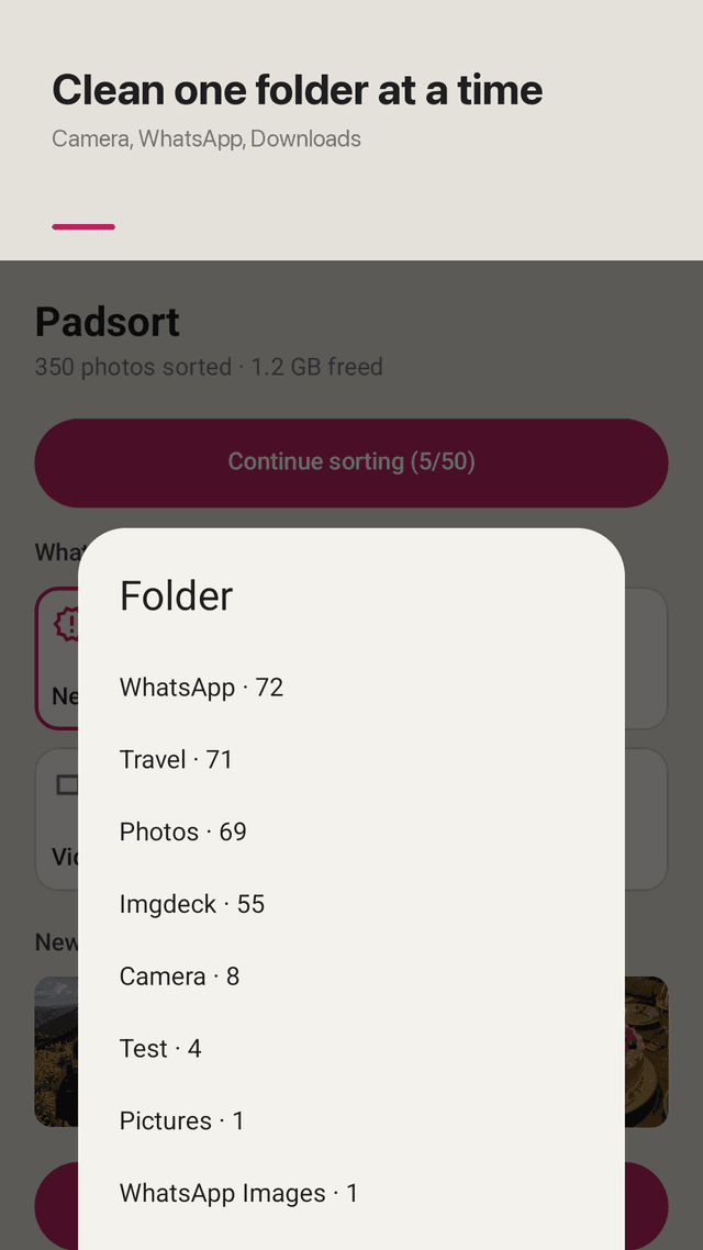 Padsort screenshot