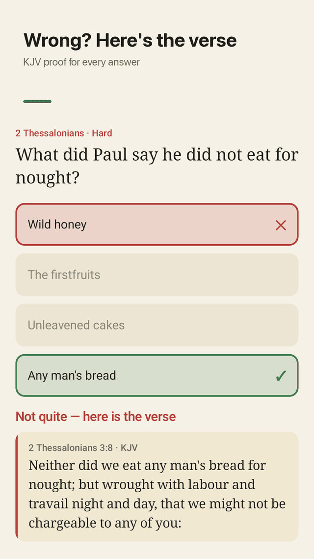 Quizark screenshot